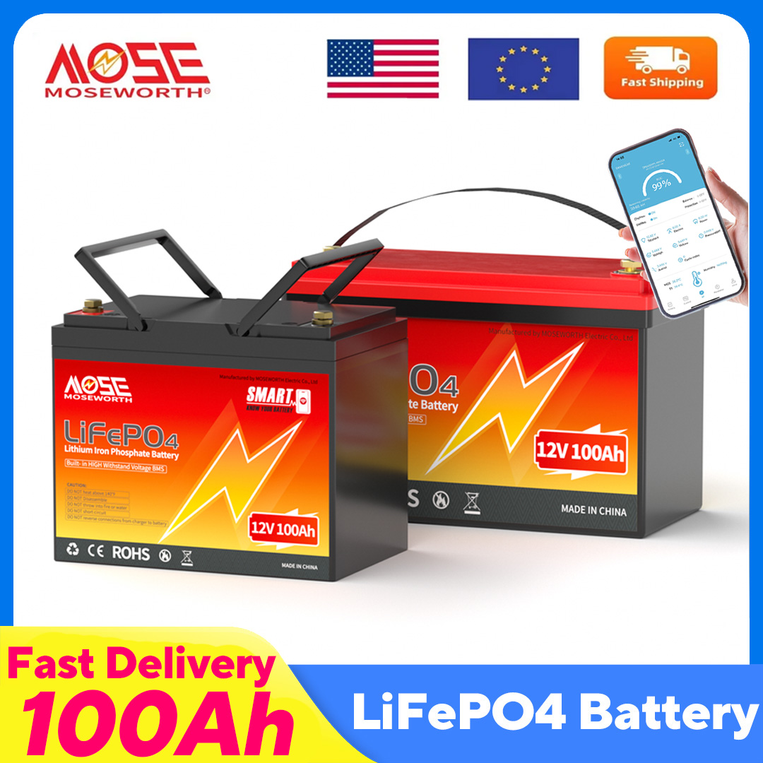 MOSEWORTH LiFePO4 12V 100Ah Ba - Lifepo4 12V 100Ah Bms Bluetooth recension och pris